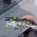 Eurasian perch