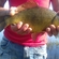 Crucian carp