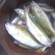 Eurasian perch