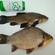 Prussian carp