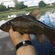 Tench