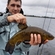 Tench