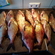 Carp bream