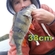 Eurasian perch