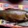 Tench