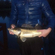 Pike perch