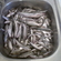 European smelt