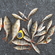 Eurasian perch