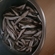 European smelt