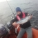 Atlantic salmon