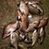 Carp bream