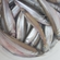 European smelt