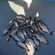 Roach