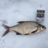 Carp bream