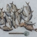 Carp bream