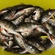 Eurasian perch