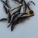 Eurasian perch