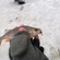 Eurasian perch