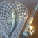 Pike perch