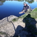 Carp bream