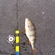 Eurasian perch