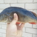 Eurasian perch