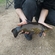 Tench