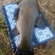 Tench