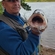 Pike perch