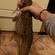 Burbot
