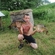 Carp bream