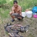 Carp bream