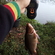 Tench
