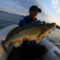 Pike perch