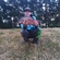 Carp bream