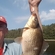 Prussian carp