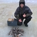 Eurasian perch