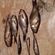 Prussian carp