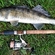 Pike perch