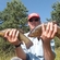 Tench