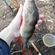 Eurasian perch