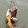 Tench