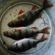 Eurasian perch