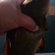 Tench
