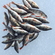 Eurasian perch