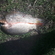Carp