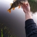 Eurasian perch