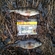Eurasian perch
