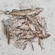 Carp bream