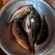 Eurasian perch